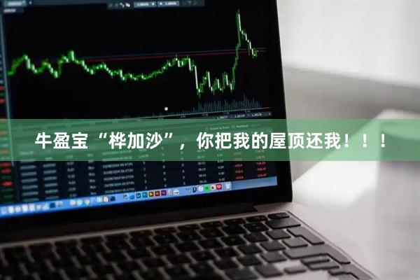 牛盈宝 “桦加沙”，你把我的屋顶还我！！！